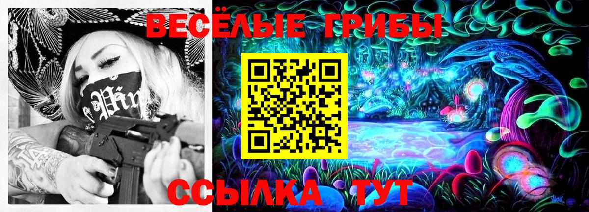 Галлюциногенные грибы Psilocybe Йошкар-Ола