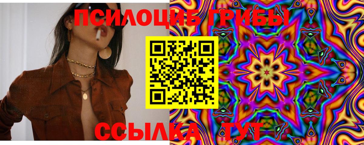 Йошкар-Ола  наркотики  Вход с VPN  Галлюциногенные грибы Magic Shrooms 